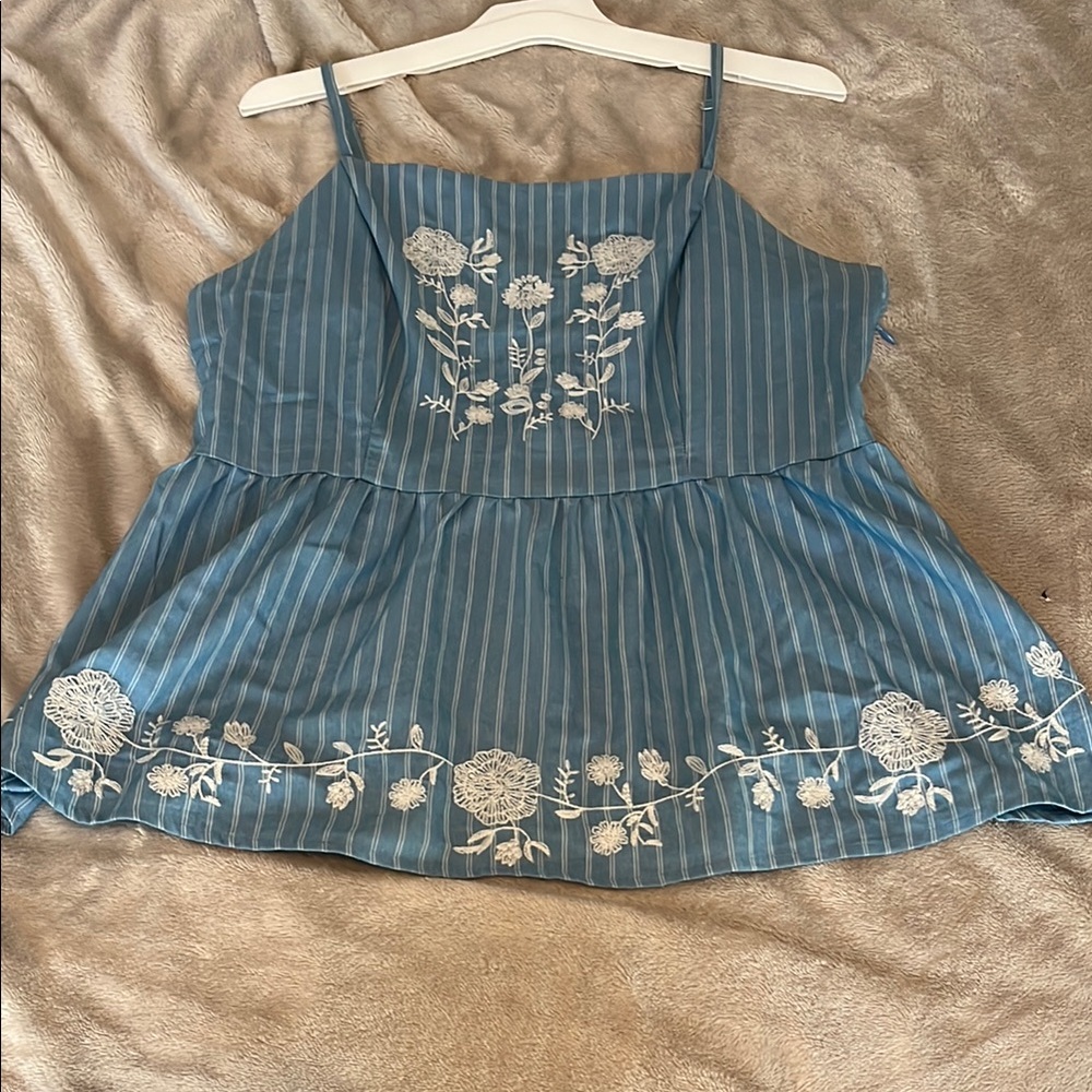 Blue Embroidered Striped Women's Top